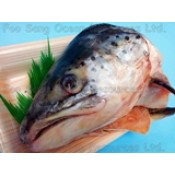 魚類 (39)