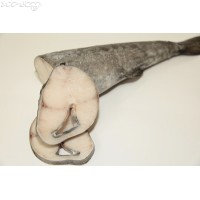 A S74  Special 美國銀鱈魚(原條代切,約3.1~ 3.6kg/條) ,**特別** 會員優惠價$228/kg, 實際金額以過磅為準